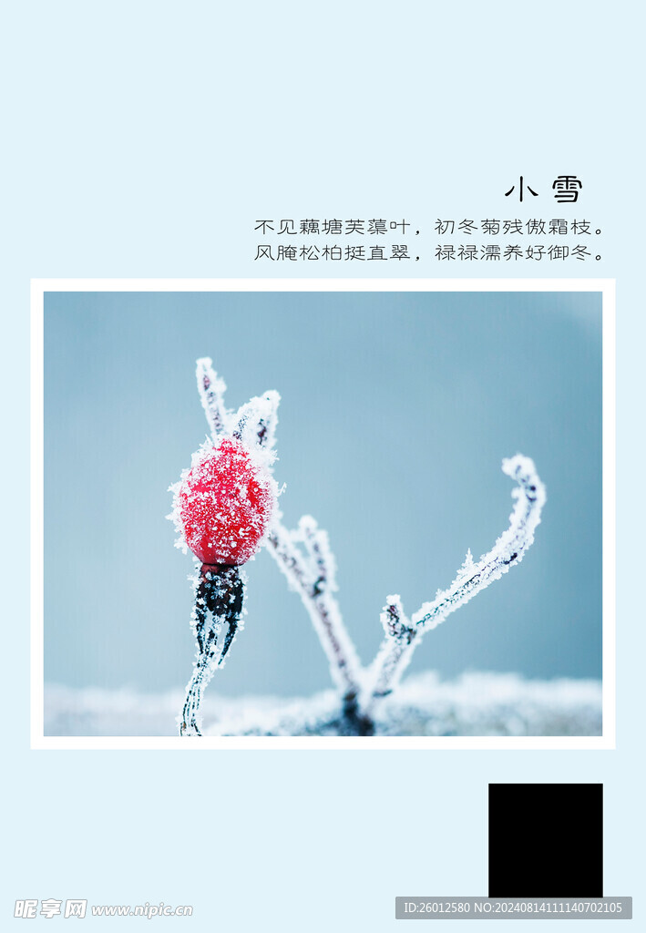 二十四节气 小雪