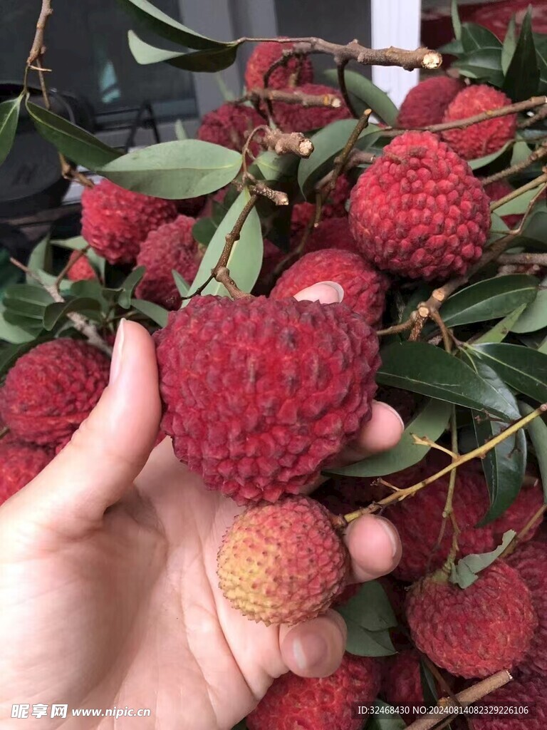 荔枝