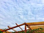 田园晴空