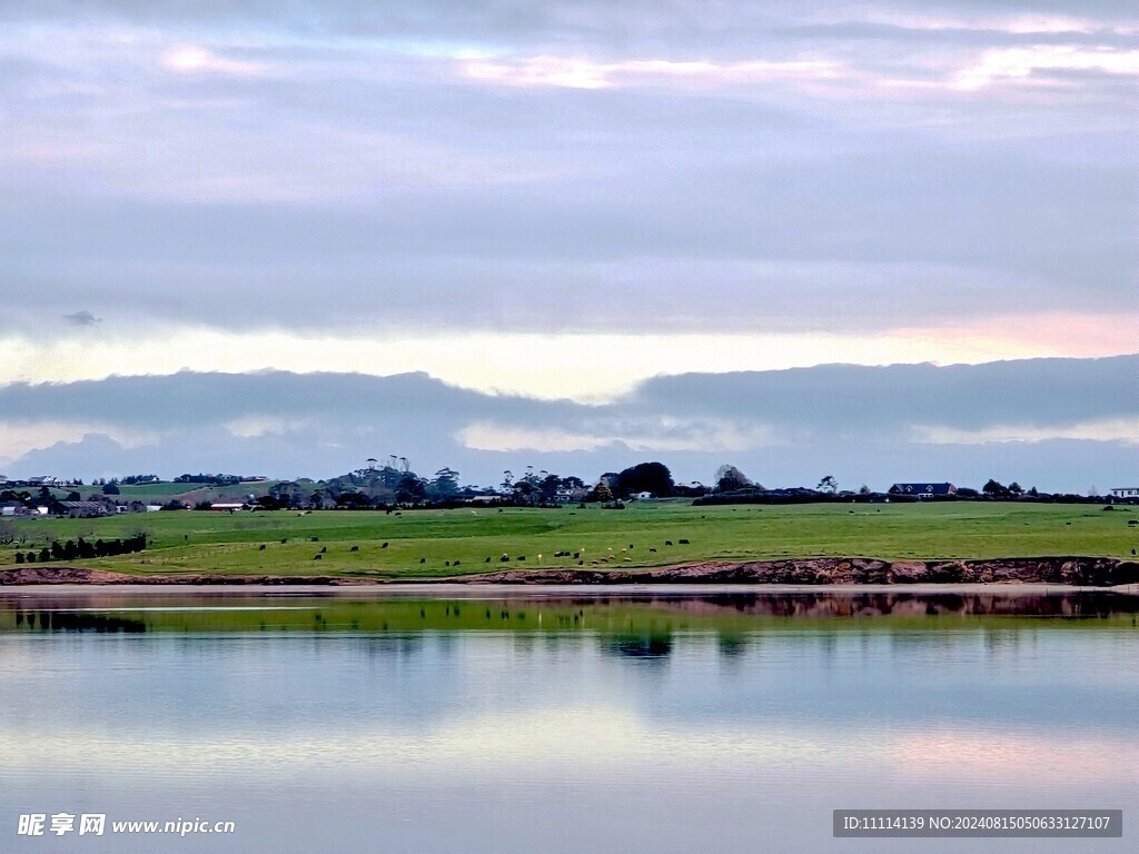 奥克兰海滨农场风景