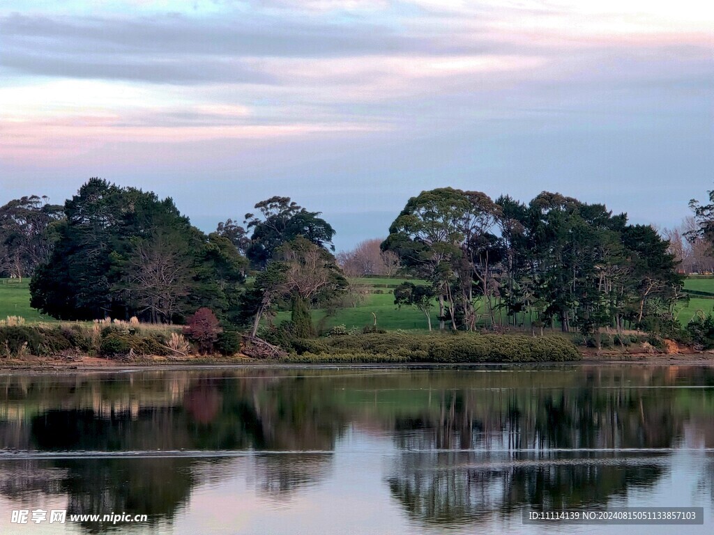 奥克兰海边农场风景