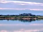 奥克兰海滨农场风景
