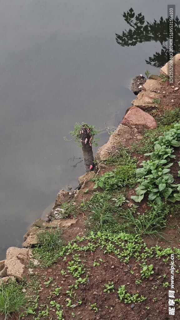 湖水风景