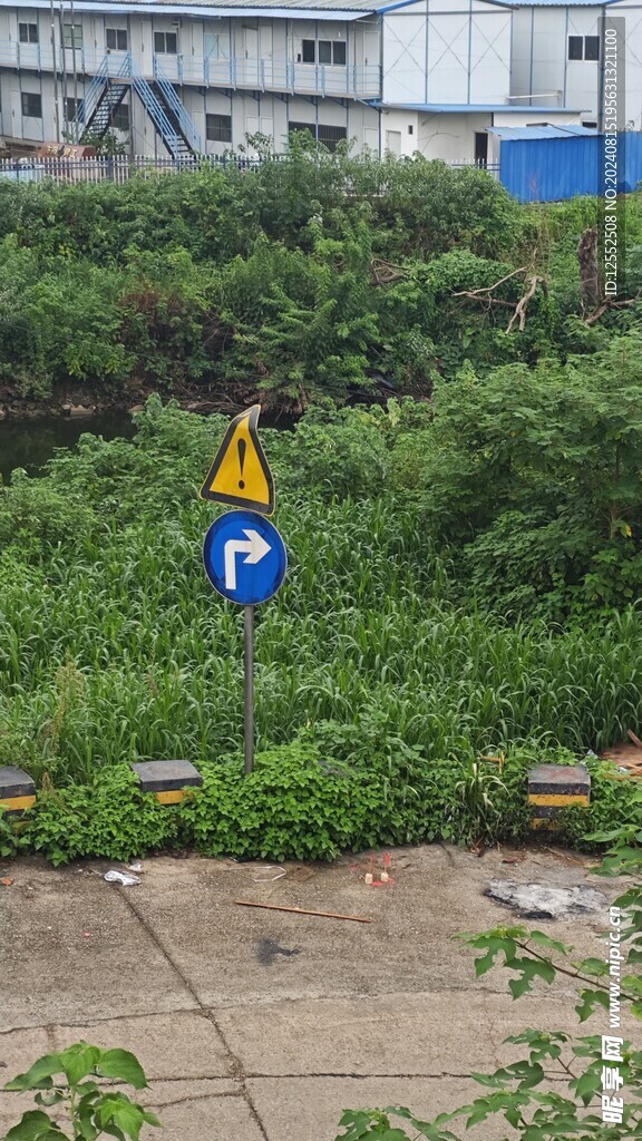 路边风景