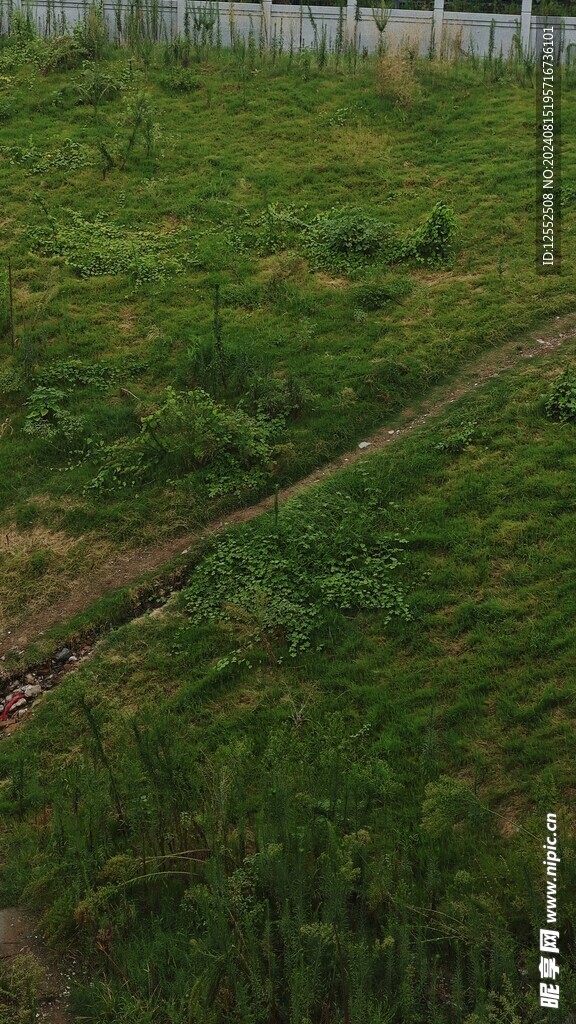 小草道路