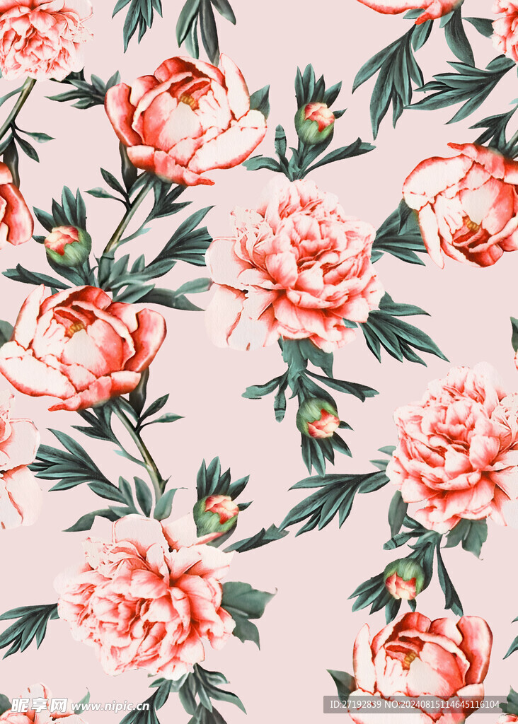 玫瑰花