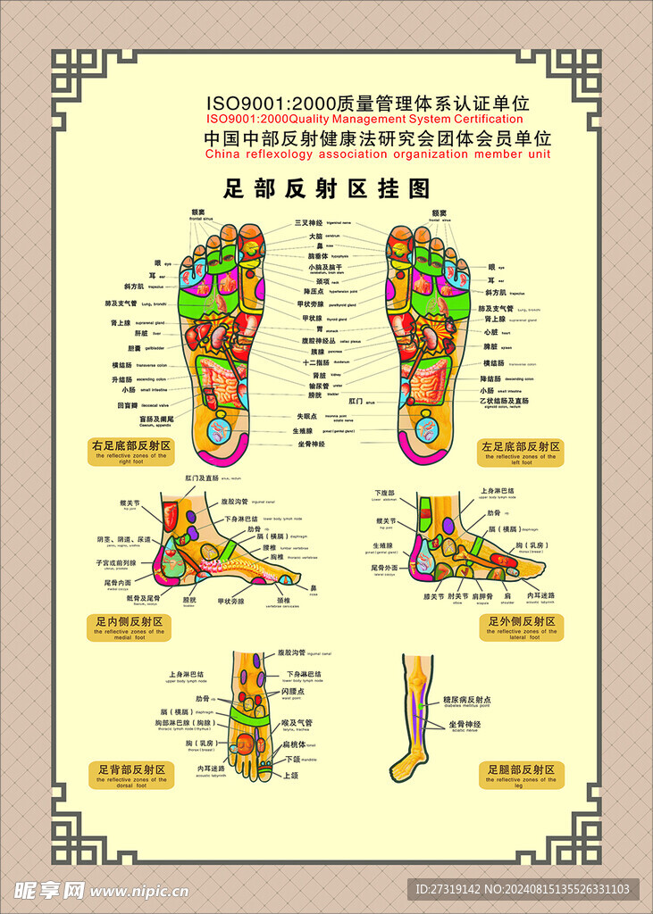 足部反射区海报