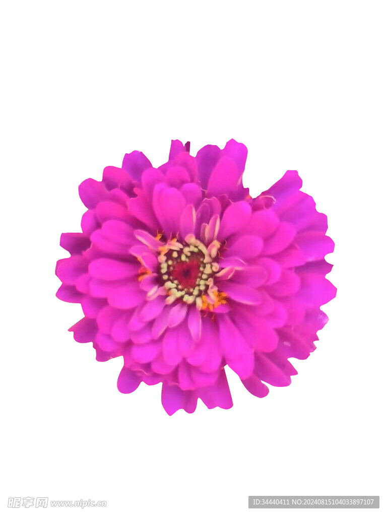 花朵