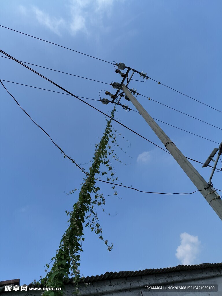 电线杆