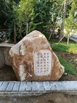 古诗句