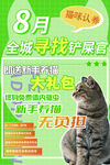 宠物领养