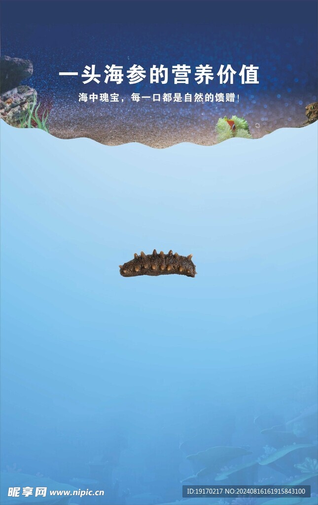 海参海报