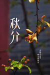 秋分