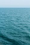 大海