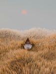 黄色草丛中的小舟