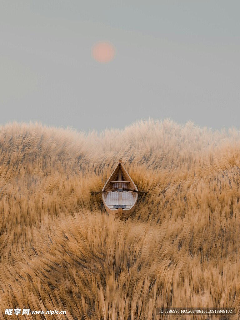 黄色草丛中的小舟