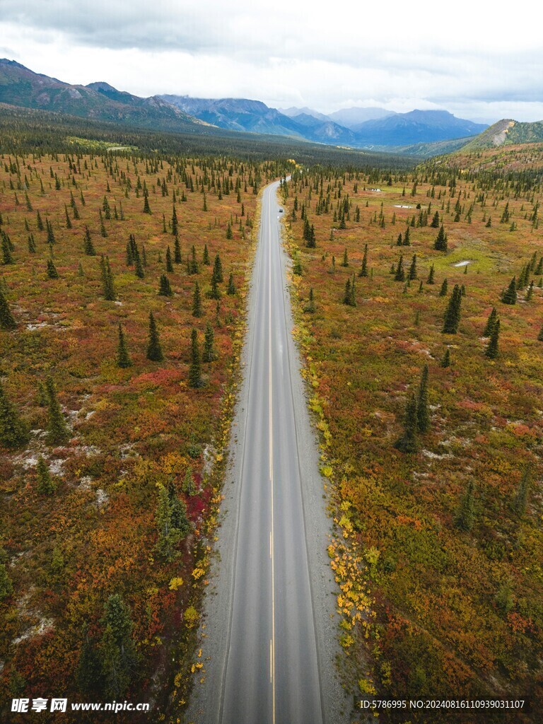 林间公路