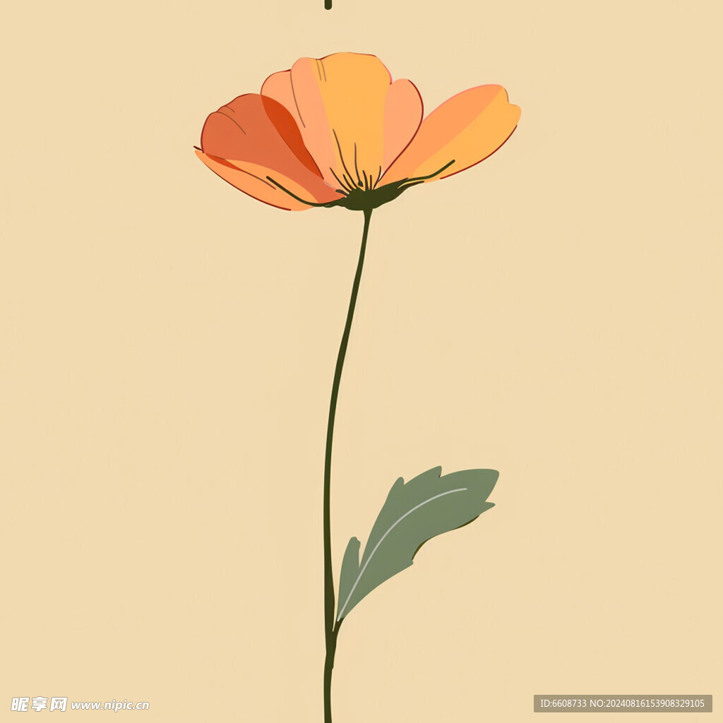 花朵鲜花背景素材