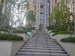 小区园林