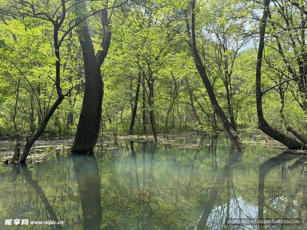 景区