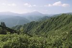 山景 