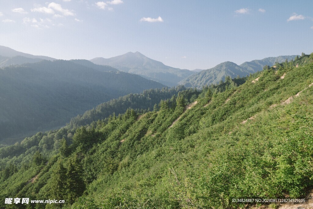 山景