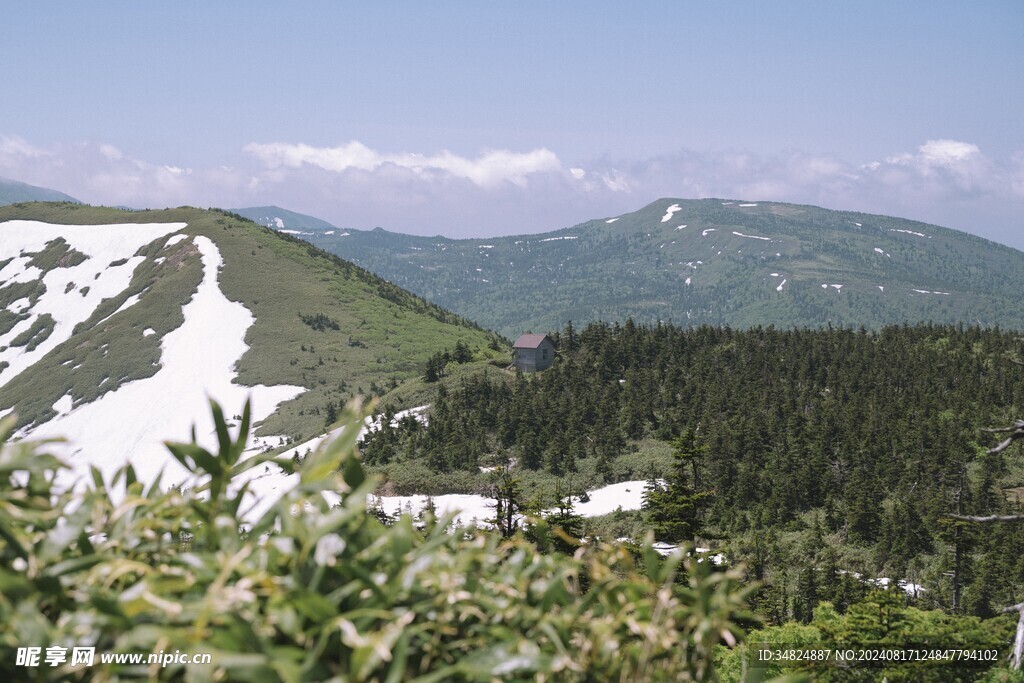 山景