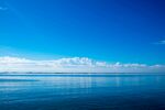 大海