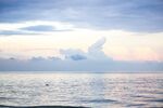 大海
