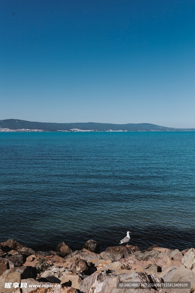 大海