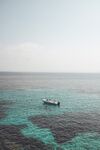 大海
