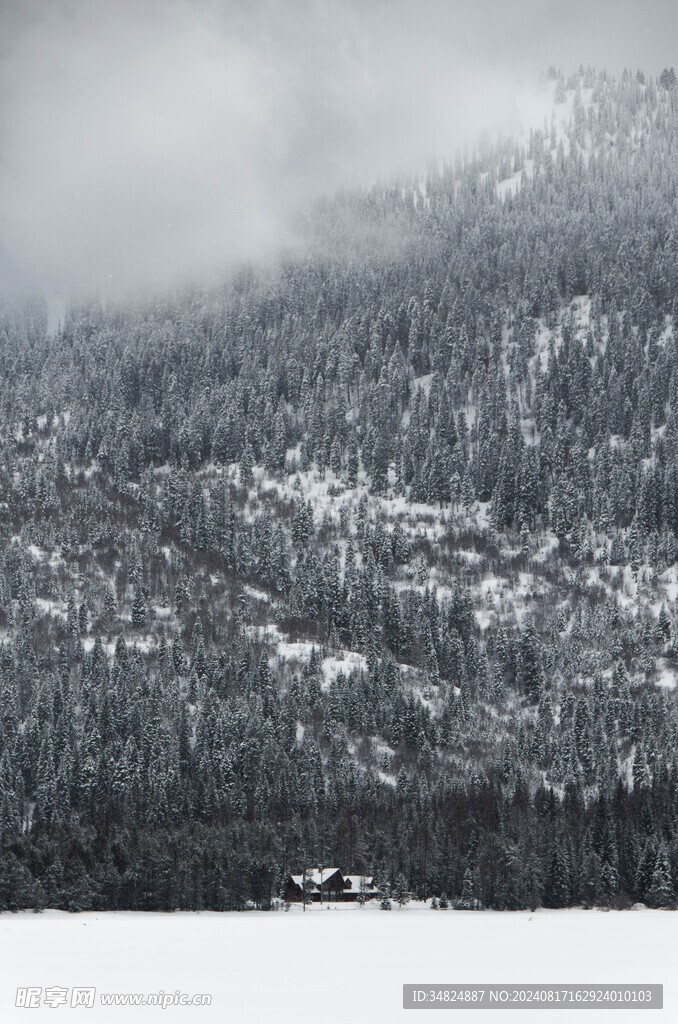 雪景