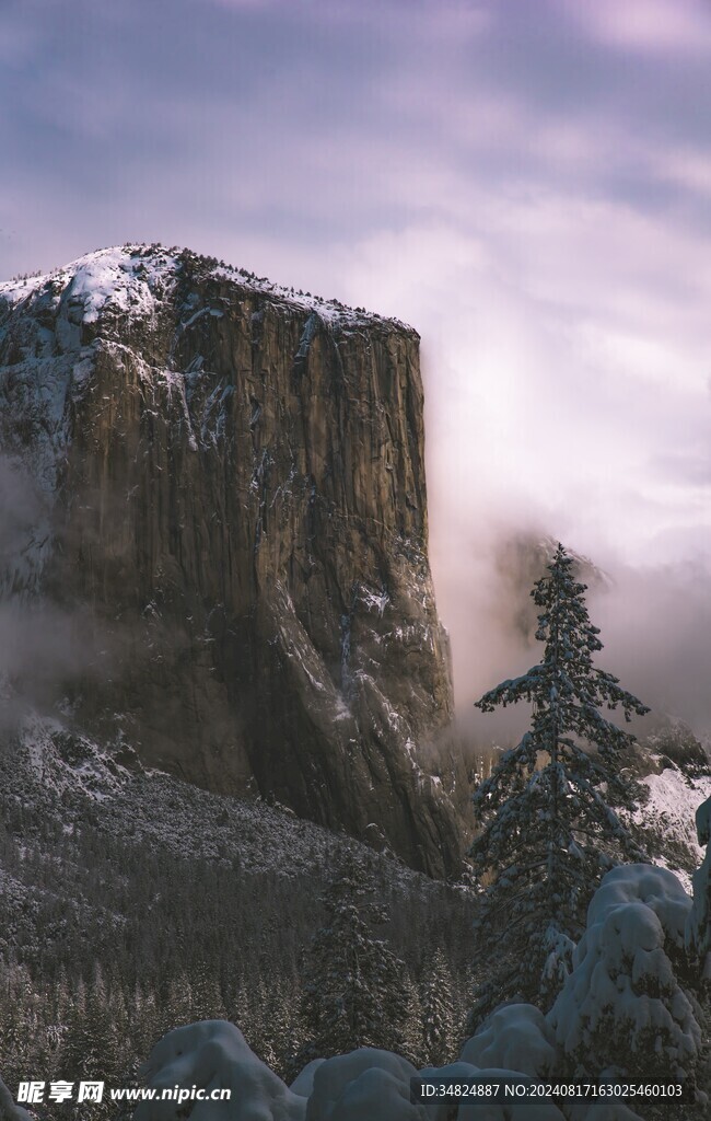 山景