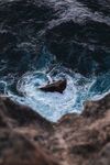 海浪