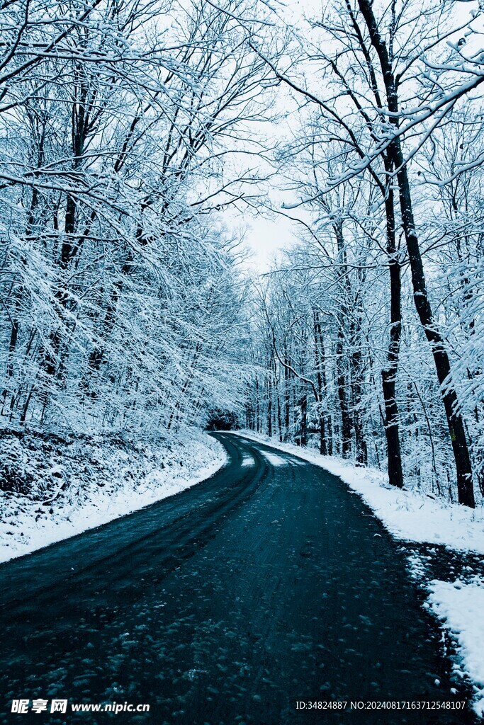 雪景