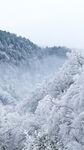 雪景