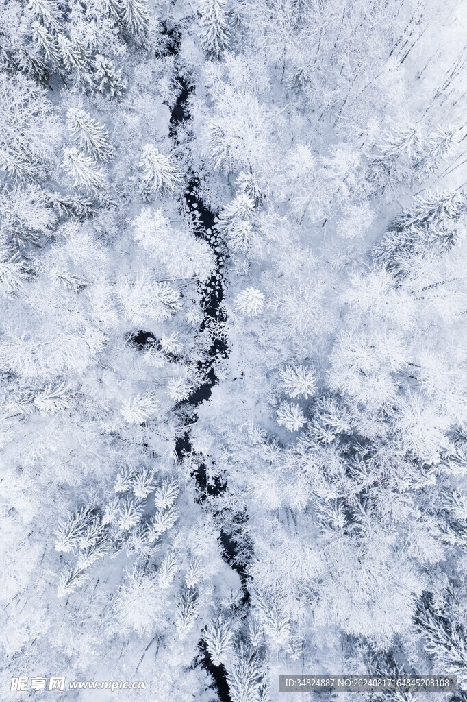 雪景