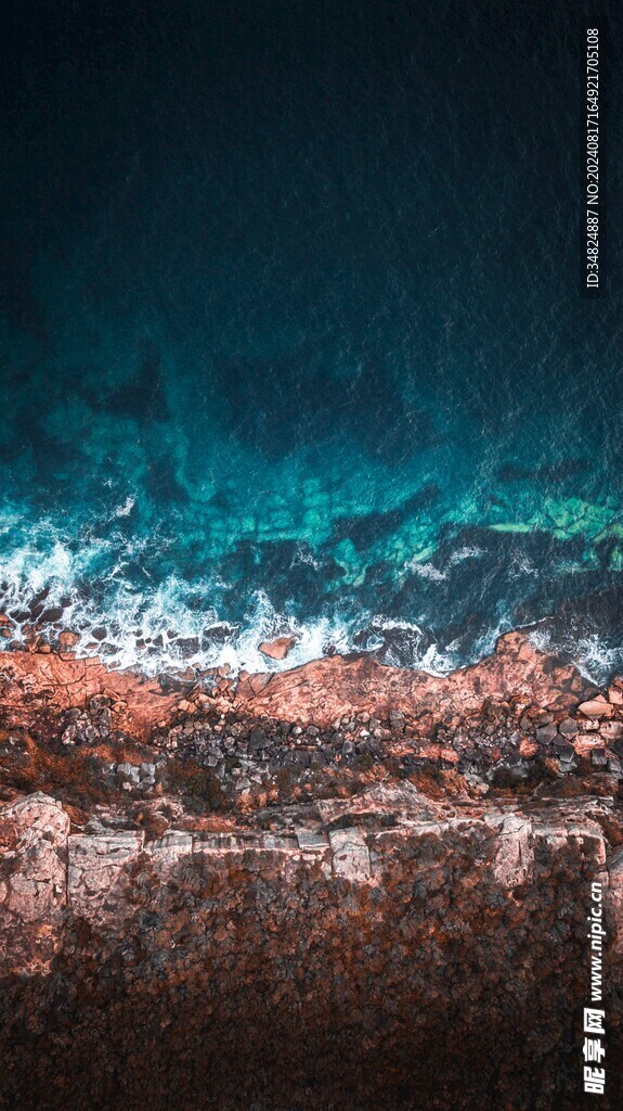 海岸
