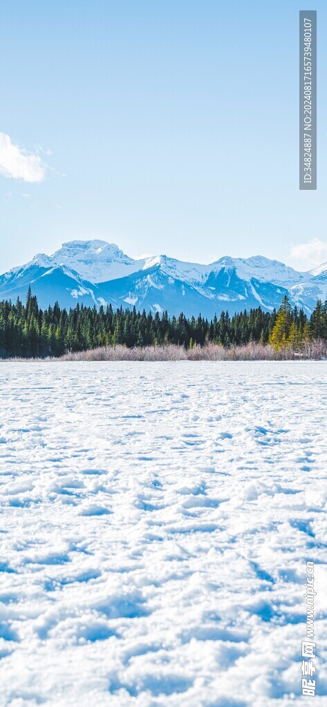 雪景
