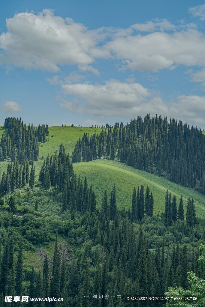 山景