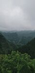 山景