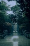 公园美景
