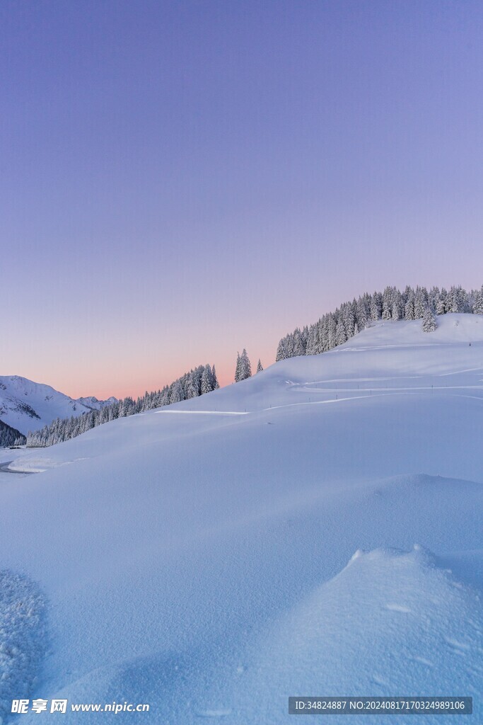 雪景