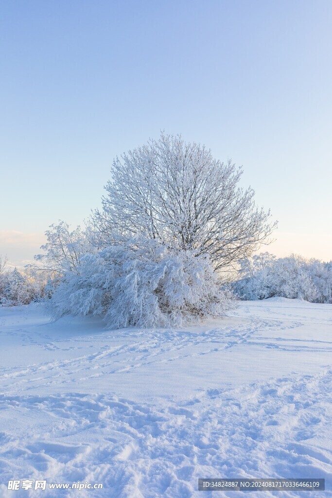 雪景