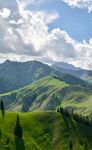 山景