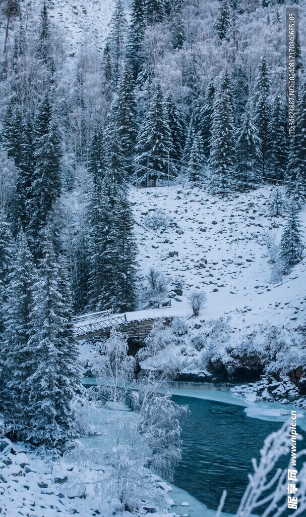 雪景