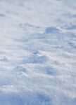 雪地