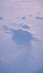 雪地