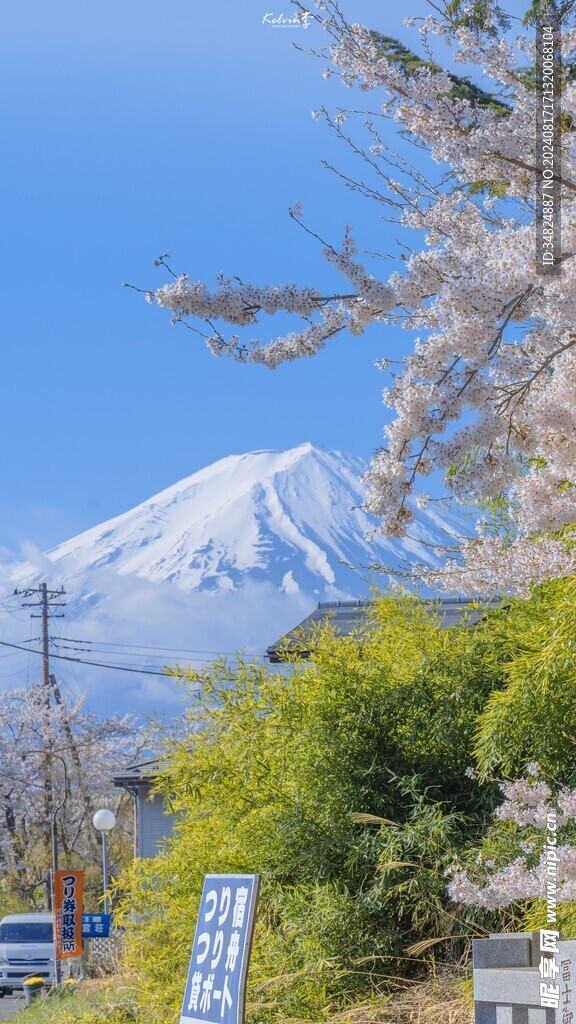 富士山