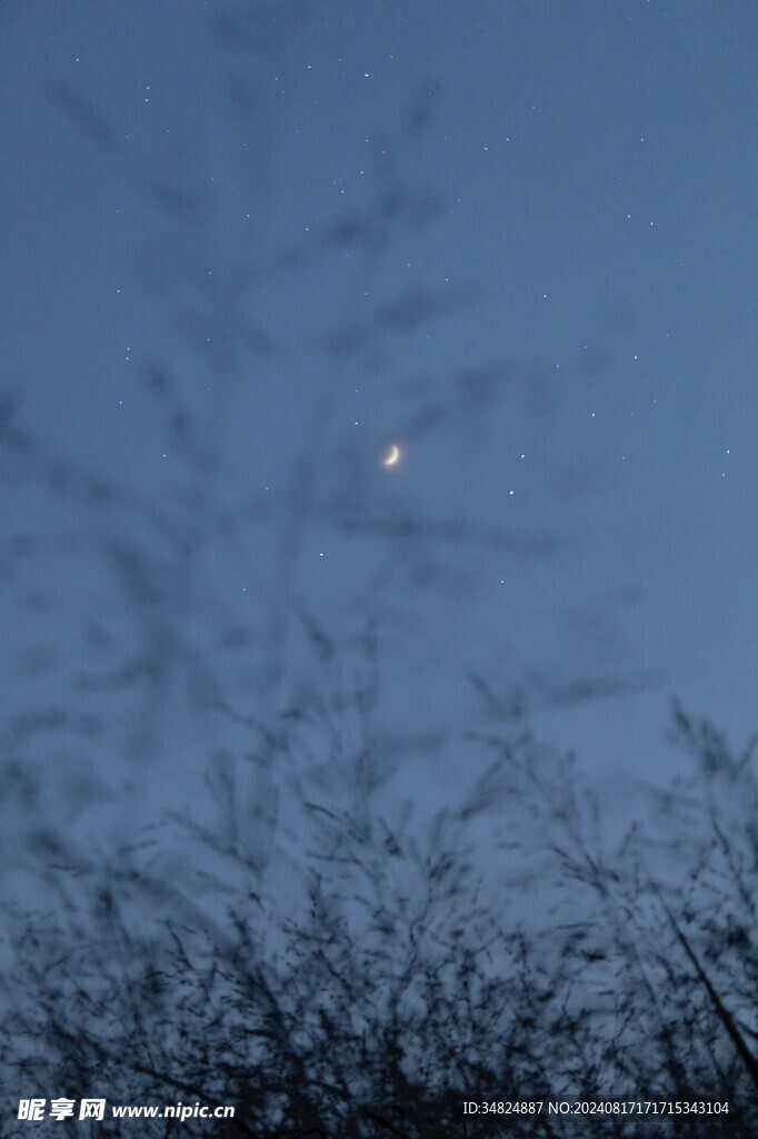 夜空